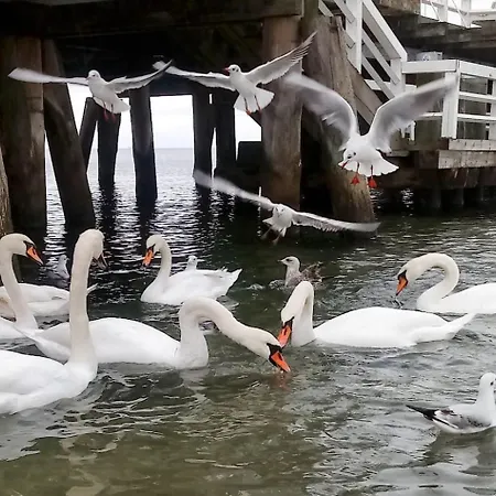 ホームステイ Orlowski Spokoj グディニャ