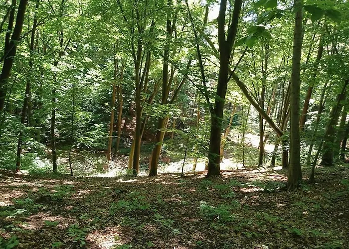 Orlowski Spokoj Gdynia