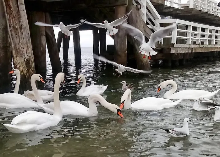 Accommodatie bij particulieren Orlowski Spokoj Gdynia